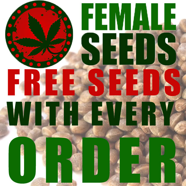 Free Gift - Female Selection Free Gift - Female Selection