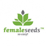Female seeds company Sex Bud female Seeds  