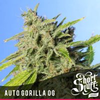 Shortstuff seeds Auto Gorilla OG female  