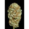 Dinafem Blue Kush Autoflowering female Seeds  