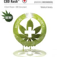 Dutch Passion CBD Kush female Seeds  