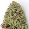 Heavyweight Seeds Auto 2 Fast 2 Vast female Seeds  