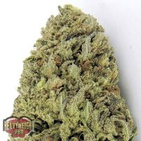 Heavyweight Seeds Auto Fast Vast female Seeds  