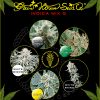 Greenhouse Seed Co. Jack Herer AUTO female Seeds Greenhouse Seed Co. Jack Herer AUTO female Seeds