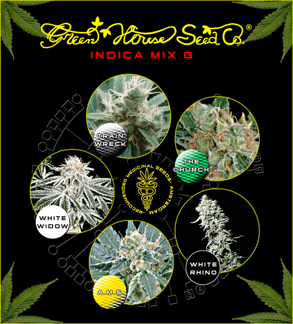 Greenhouse Seed Co. Indica Mix G Greenhouse Seed Co. Indica Mix G