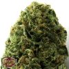 Heavyweight Seeds Auto Short And Sweet female Seeds Heavyweight Seeds Auto Short And Sweet female Seeds