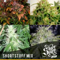 shortstuff seeds ShortStuff mix female  