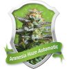 Royal Queen Seeds Amnesia Haze female Seeds Royal Queen Seeds Amnesia Haze female Seeds