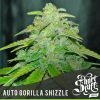 Shortstuff seeds Auto Jedi Kush female  