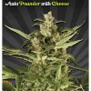 Auto Seeds Auto Pounder  