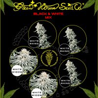 Greenhouse Seed Co. Black and White Mix-5Seeds  
