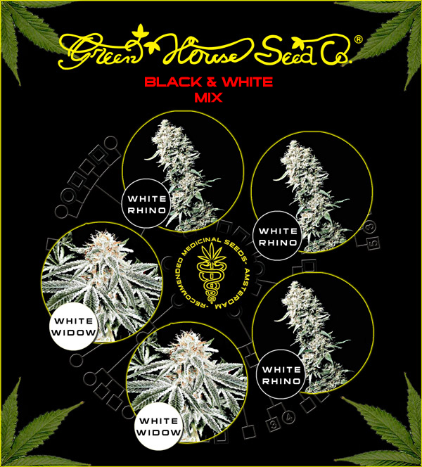 Greenhouse Seed Co. Black and White Mix-5Seeds Greenhouse Seed Co. Black and White Mix-5Seeds