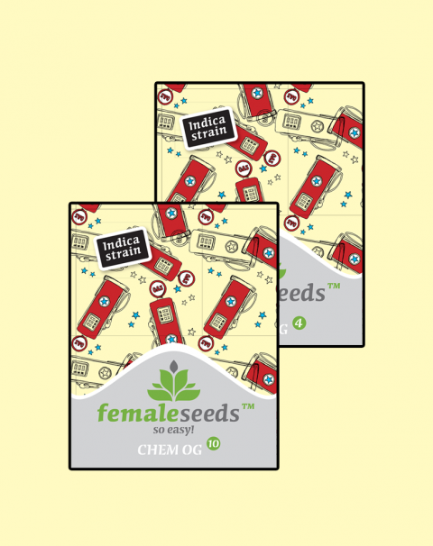 Female seeds company Chem OG female seeds Female seeds company Chem OG female seeds