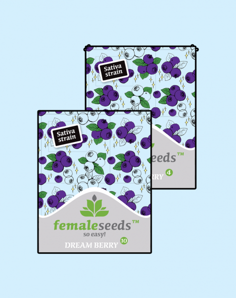 Female seeds company Dream Berry female seeds Female seeds company Dream Berry female seeds