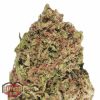 Heavyweight Seeds Diesel Drift female seeds Heavyweight Seeds Diesel Drift female seeds