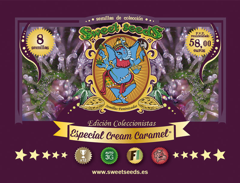 Sweet Seeds Especial Cream Caramel Collector's Pack Sweet Seeds Especial Cream Caramel Collector's Pack