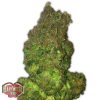 Heavyweight Seeds Auto Fast Vast female Seeds Heavyweight Seeds Auto Fast Vast female Seeds
