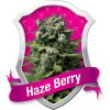 Royal Queen Seeds Fruit Spirit female Seeds Royal Queen Seeds Fruit Spirit female Seeds