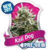 Royal Queen Seeds Jack Herer Automatic female Seeds Royal Queen Seeds Jack Herer Automatic female Seeds