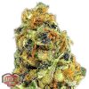 Heavyweight Seeds Lemon Cake female Seeds Heavyweight Seeds Lemon Cake female Seeds