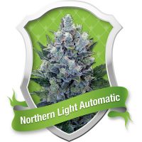 Royal Queen Seeds Northern Light Automatic female Seeds  
