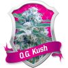 Royal Queen Seeds Pineapple Kush female Seeds  
