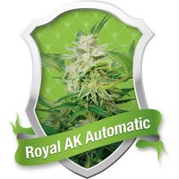 Royal Queen Seeds Royal AK Automatic female Seeds  