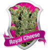 Royal Queen Seeds Royal Cheese Automatic female Seeds  