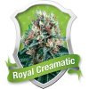 Royal Queen Seeds Royal Critical Automatic female Seeds Royal Queen Seeds Royal Critical Automatic female Seeds
