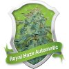 Royal Queen Seeds Royal Honey Creamfemale Seeds Royal Queen Seeds Royal Honey Creamfemale Seeds