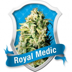 Royal Queen Seeds Royal Medic female Seeds Royal Queen Seeds Royal Medic female Seeds