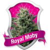 Royal Queen Seeds Royal Madre female Seeds Royal Queen Seeds Royal Madre female Seeds