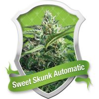 Royal Queen Seeds Sweet Skunk Automatic female Seeds  