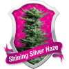 Royal Queen Seeds Royal Moby female Seeds Royal Queen Seeds Royal Moby female Seeds
