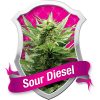 Royal Queen Seeds Somango XL female Seeds  
