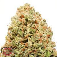 Heavyweight Seeds Strawberry Cake female Seeds  