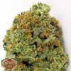 Heavyweight Seeds Budzilla female Seeds Heavyweight Seeds Budzilla female Seeds