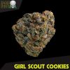 Blackskull Auto Zkittlez feminized seeds Blackskull Auto Zkittlez feminized seeds