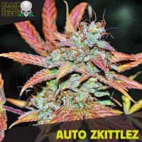 Blackskull Auto Zkittlez feminized seeds  