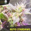 Blackskull Auto Zkittlez feminized seeds Blackskull Auto Zkittlez feminized seeds