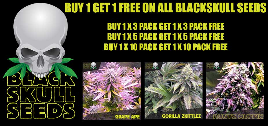 blackskull free seeds offer